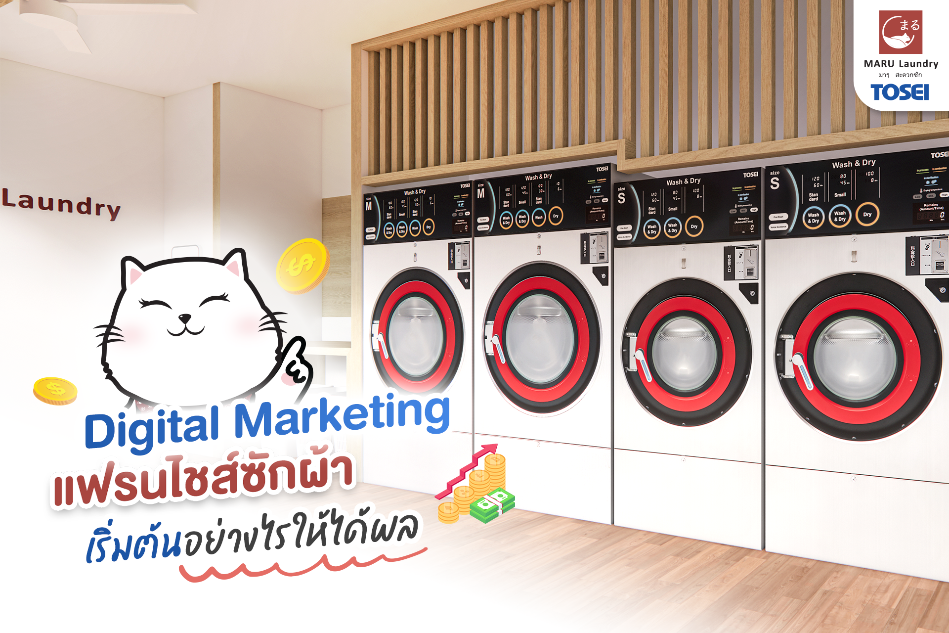 Digital Marketing แฟรนไชส์ซักผ้า